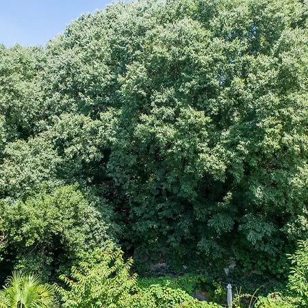 Porto Vivo Bed & Breakfast Terst