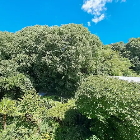 Alojamento de Acomodação e Pequeno-almoço Porto Vivo Trieste