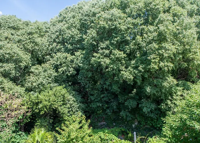 Porto Vivo Bed & Breakfast Trieste